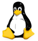 Noyau Linux